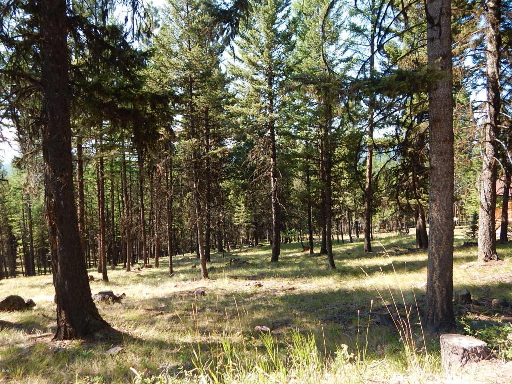475 Stagecoach Drive, Seeley Lake, MT 59868