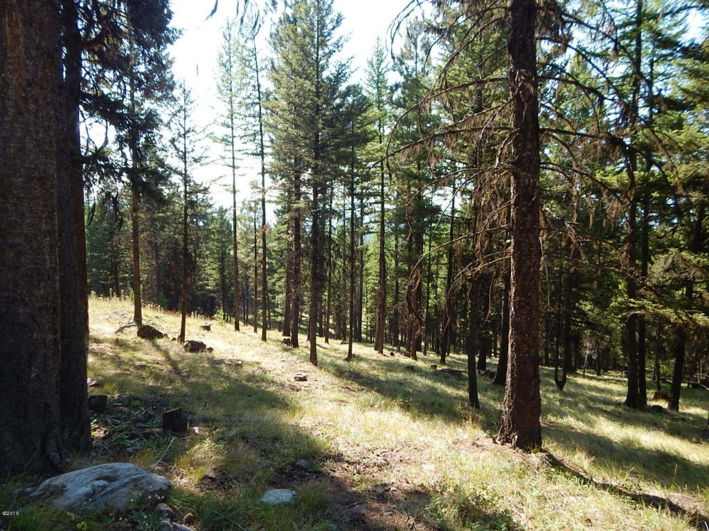 475 Stagecoach Drive, Seeley Lake, MT 59868