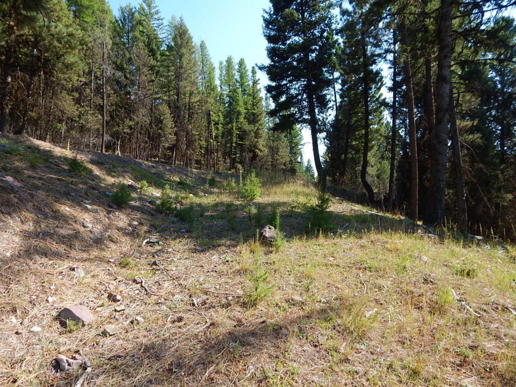 475 Stagecoach Drive, Seeley Lake, MT 59868