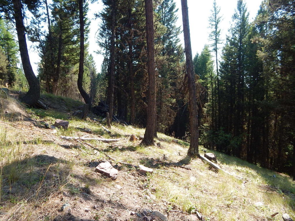 475 Stagecoach Drive, Seeley Lake, MT 59868
