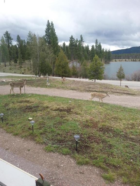 330 Riverview Drive, Seeley Lake, MT 59868