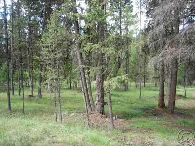 Lot 229 Montana Drive, Seeley Lake, MT 59868