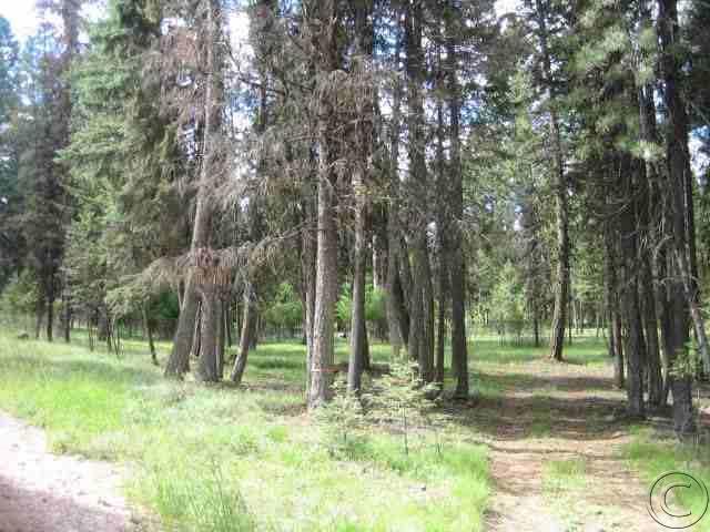 Lot 229 Montana Drive, Seeley Lake, MT 59868