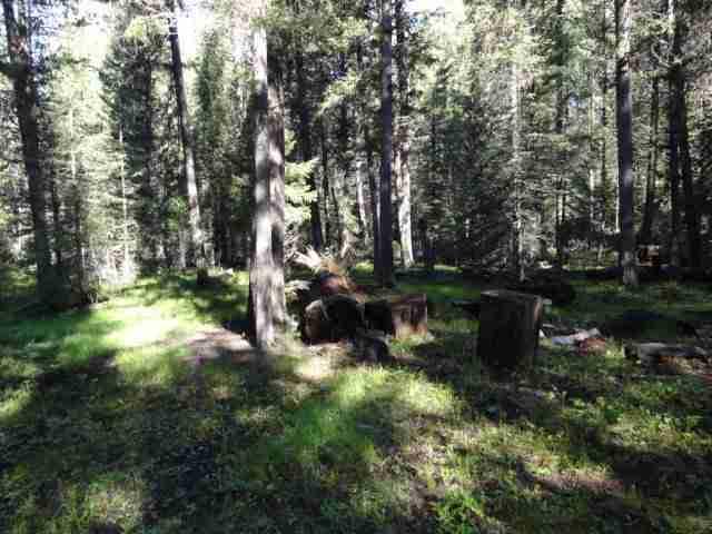 105 Leota Peak Court, Seeley Lake, MT 59868