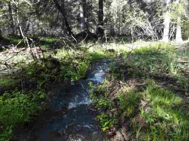 105 Leota Peak Court, Seeley Lake, MT 59868