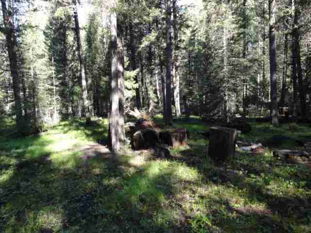 105 Leota Peak Ct, Other, MT 59868