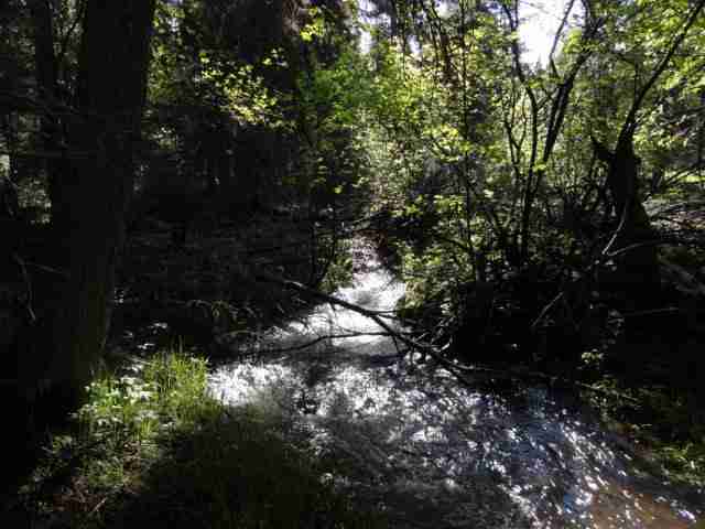 105 Leota Peak Ct, Other, MT 59868