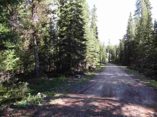105 Leota Peak Ct, Other, MT 59868