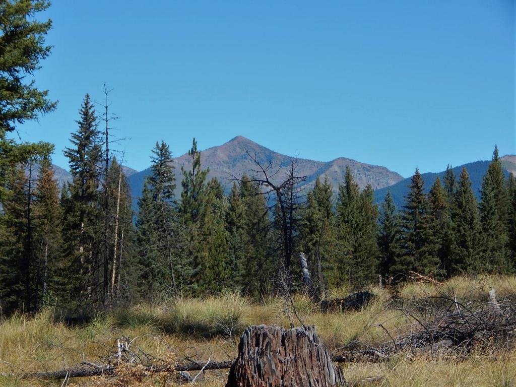 260 Grayling Drive, Seeley Lake, MT 59868