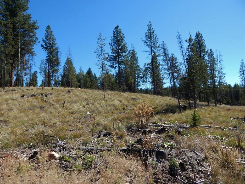 260 Grayling Drive, Seeley Lake, MT 59868