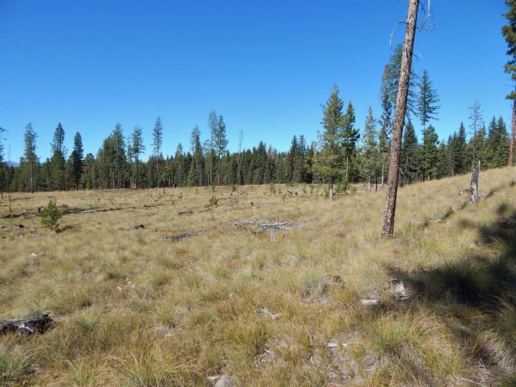 260 Grayling Drive, Seeley Lake, MT 59868