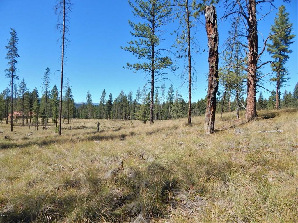 260 Grayling Drive, Seeley Lake, MT 59868