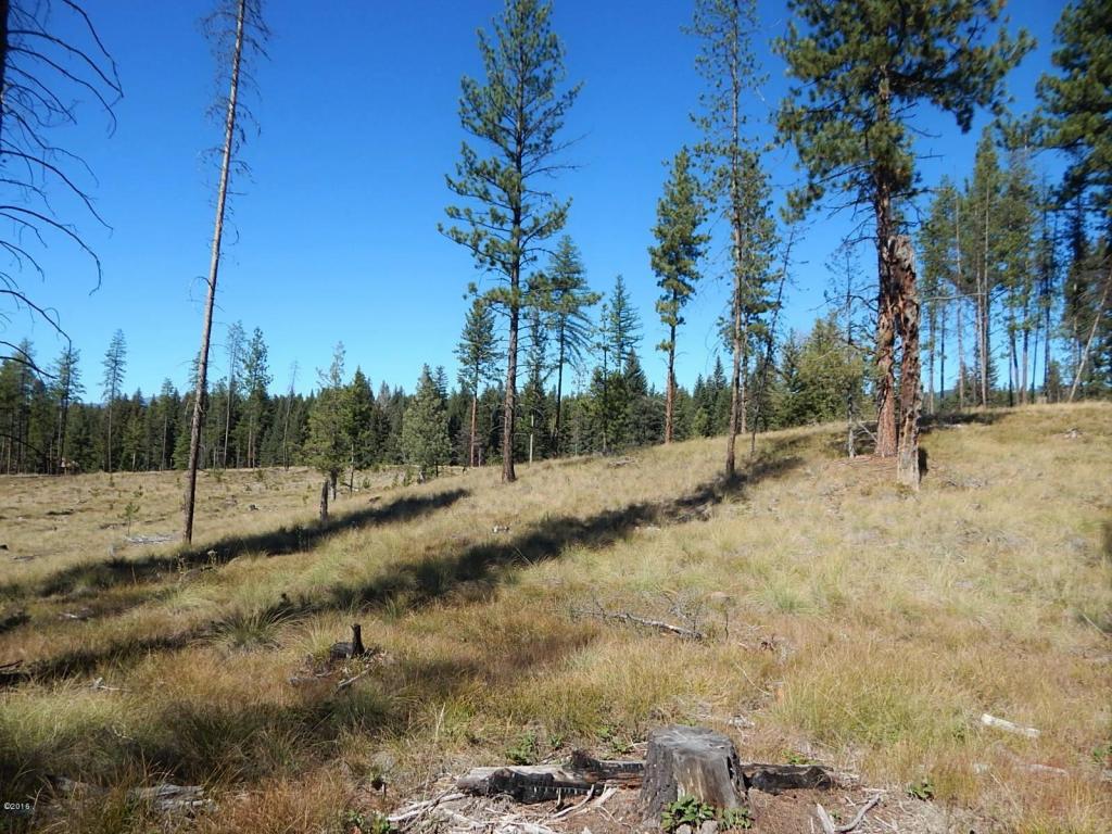 260 Grayling Drive, Seeley Lake, MT 59868