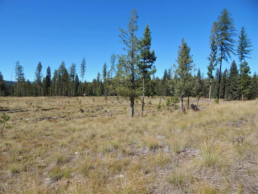 260 Grayling Drive, Seeley Lake, MT 59868