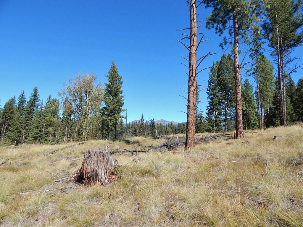 260 Grayling Drive, Seeley Lake, MT 59868