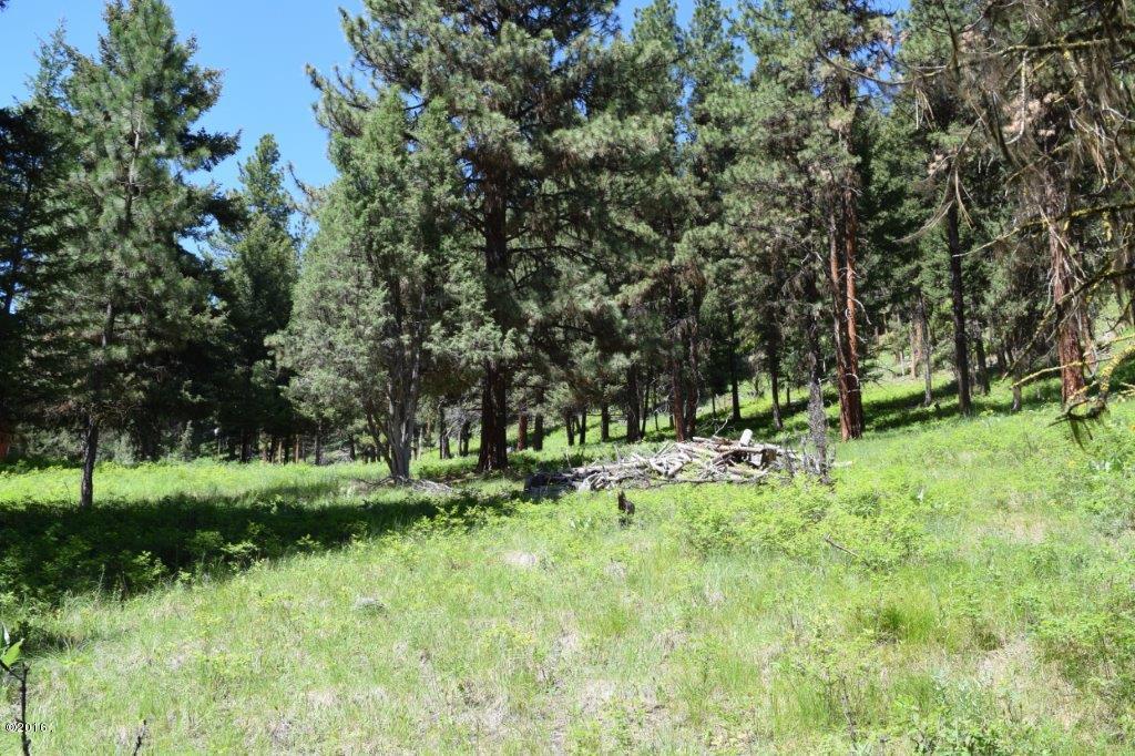 2424 Hwy 83 North, Seeley Lake, MT 59868