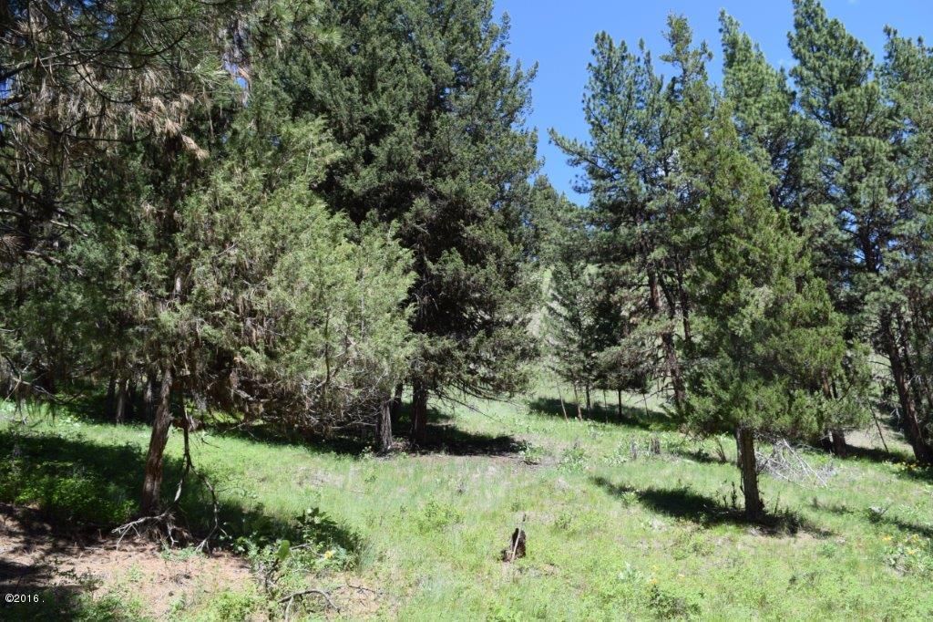 2424 Hwy 83 North, Seeley Lake, MT 59868