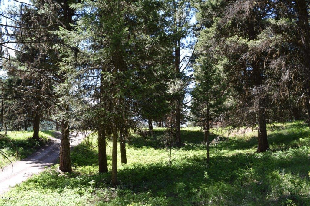 2424 Hwy 83 North, Seeley Lake, MT 59868