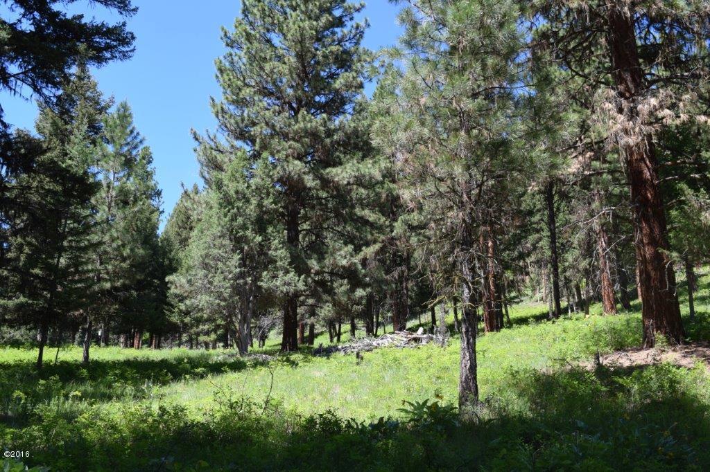 2424 Hwy 83 North, Seeley Lake, MT 59868