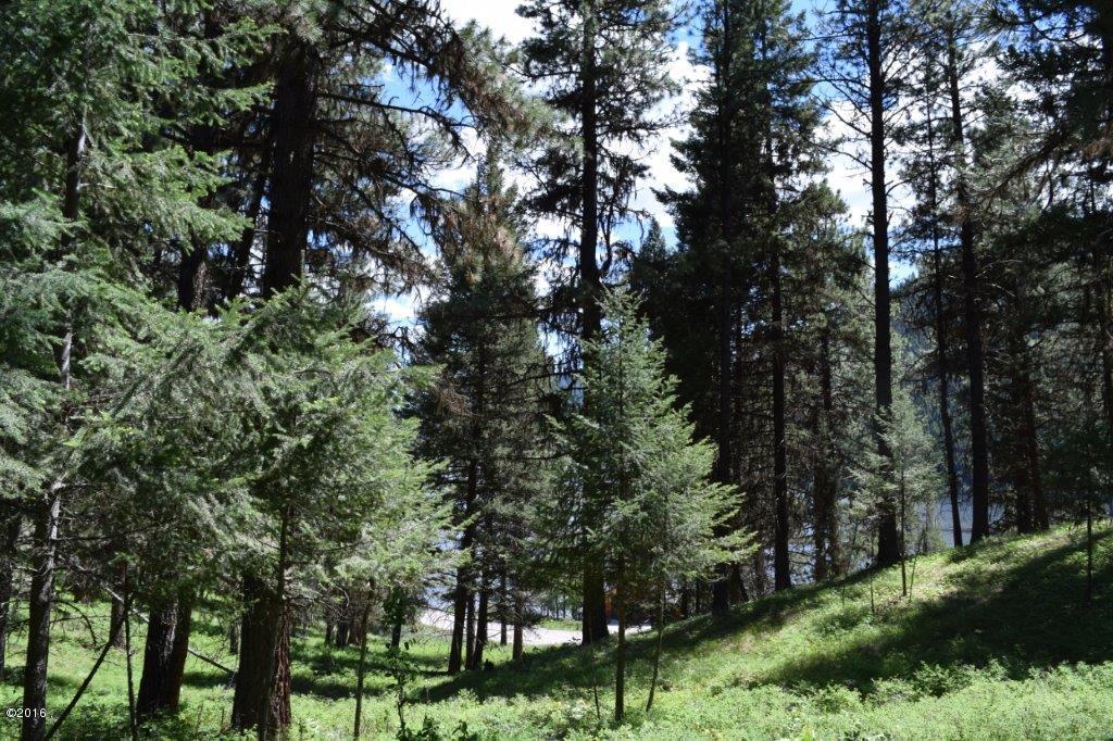 2424 Hwy 83 North, Seeley Lake, MT 59868
