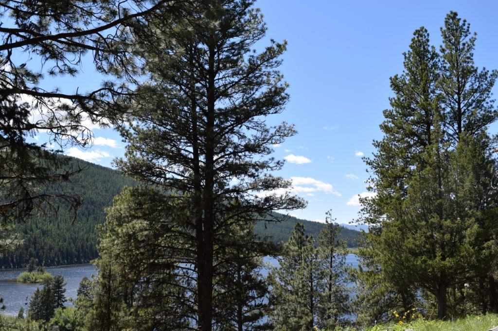 2424 Hwy 83 N, Seeley Lake, Other, MT 59868