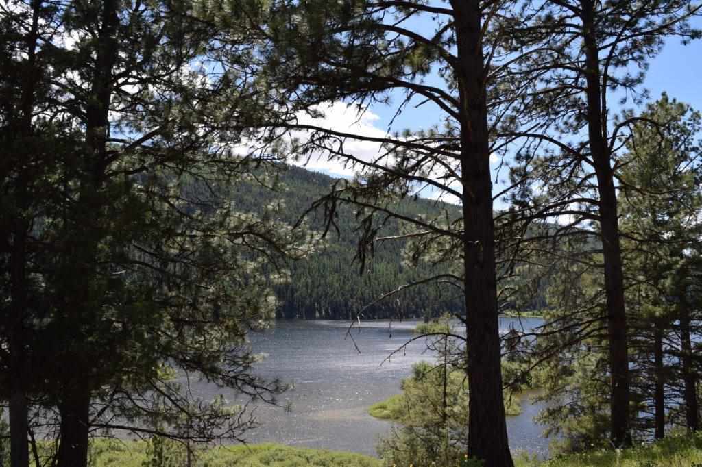 2424 Hwy 83 N, Seeley Lake, Other, MT 59868