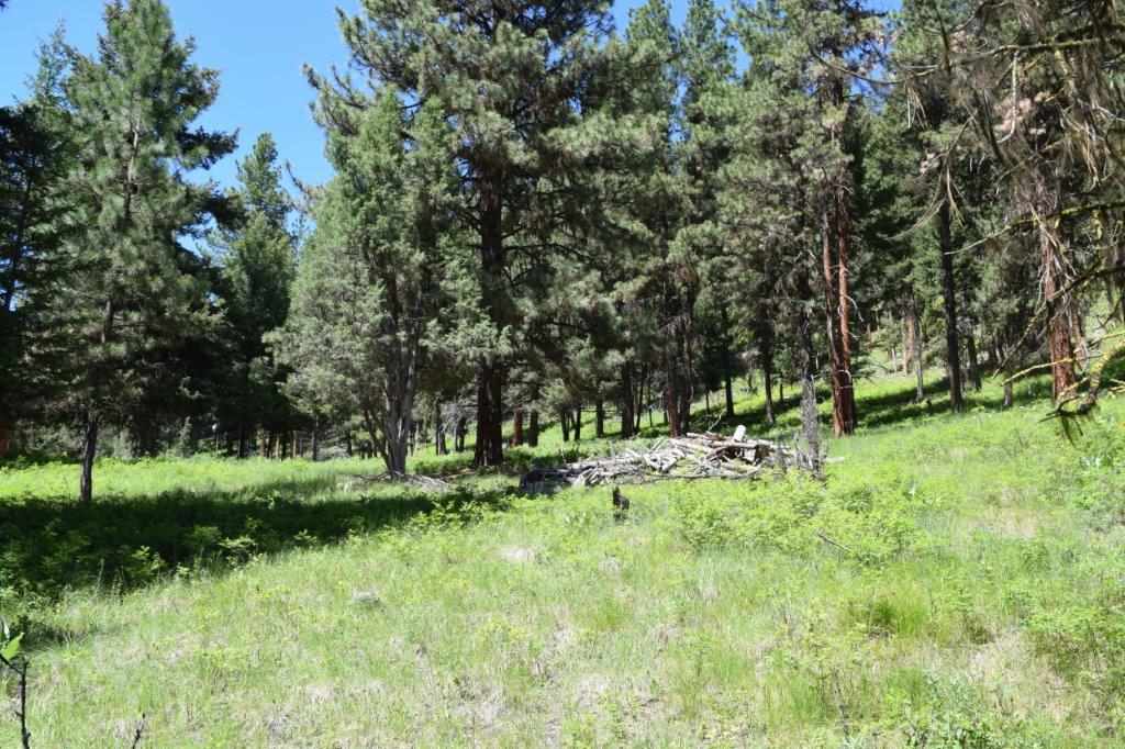 2424 Hwy 83 N, Seeley Lake, Other, MT 59868