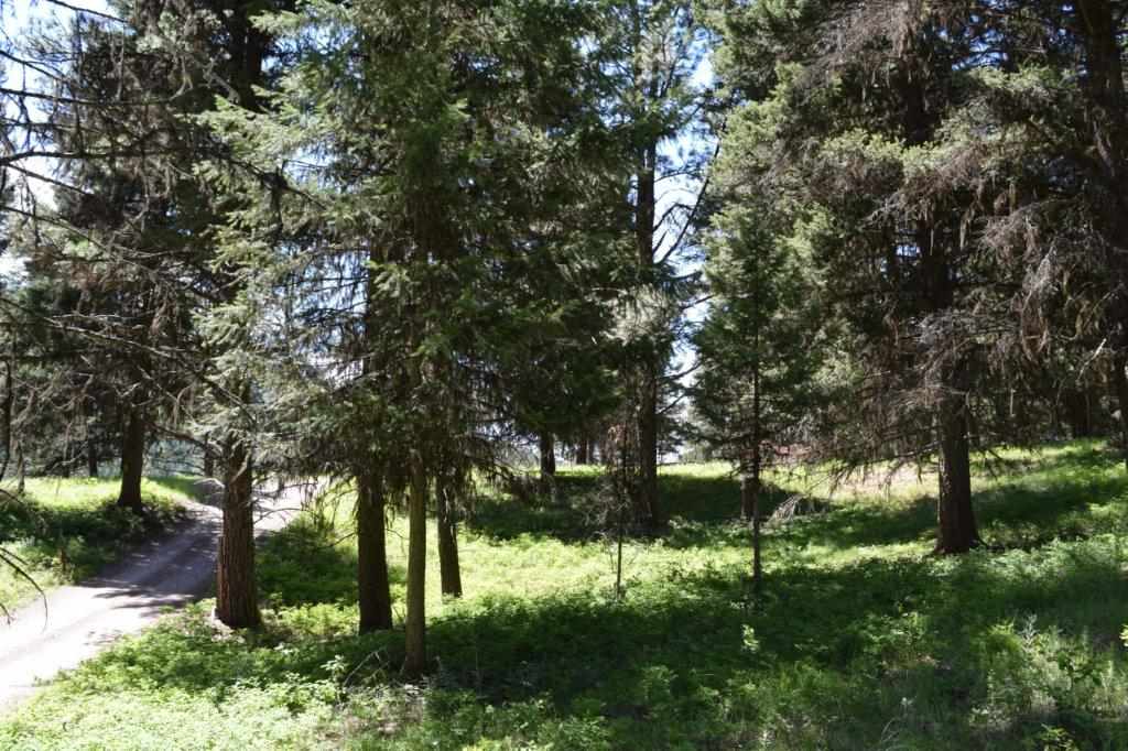 2424 Hwy 83 N, Seeley Lake, Other, MT 59868