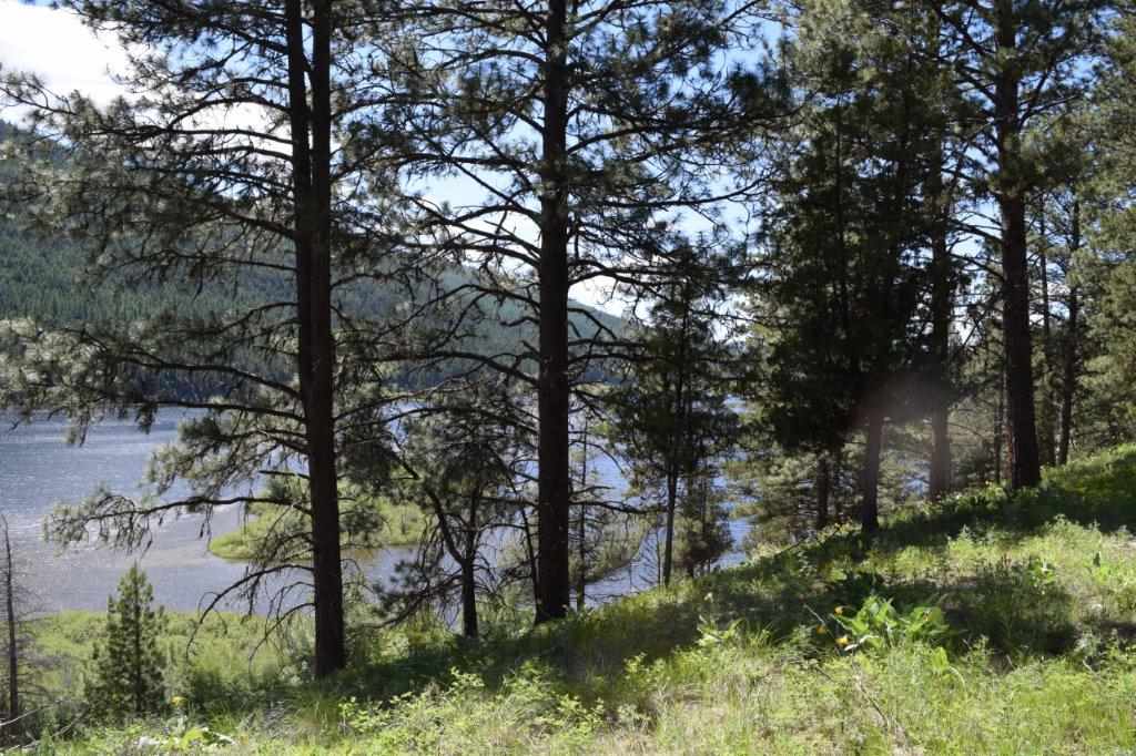 2424 Hwy 83 N, Seeley Lake, Other, MT 59868