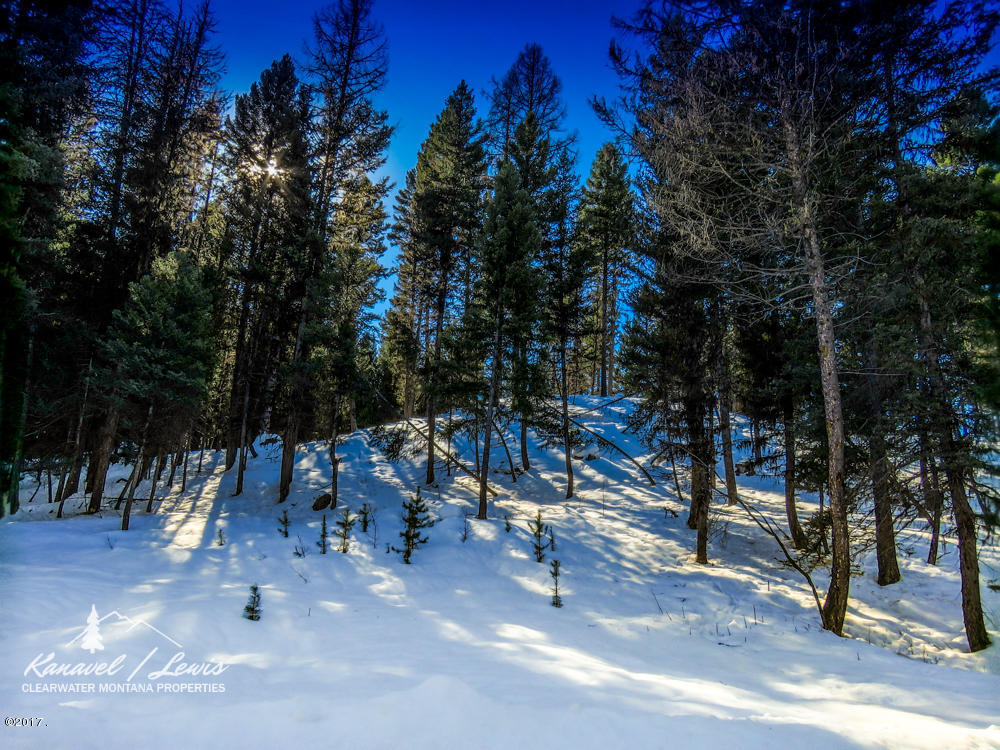 1533 Double Arrow Road, Seeley Lake, MT 59868