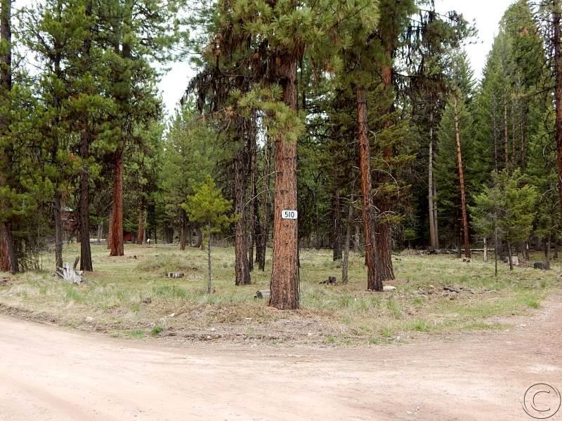 510 Glacier Drive, Seeley Lake, MT 59868