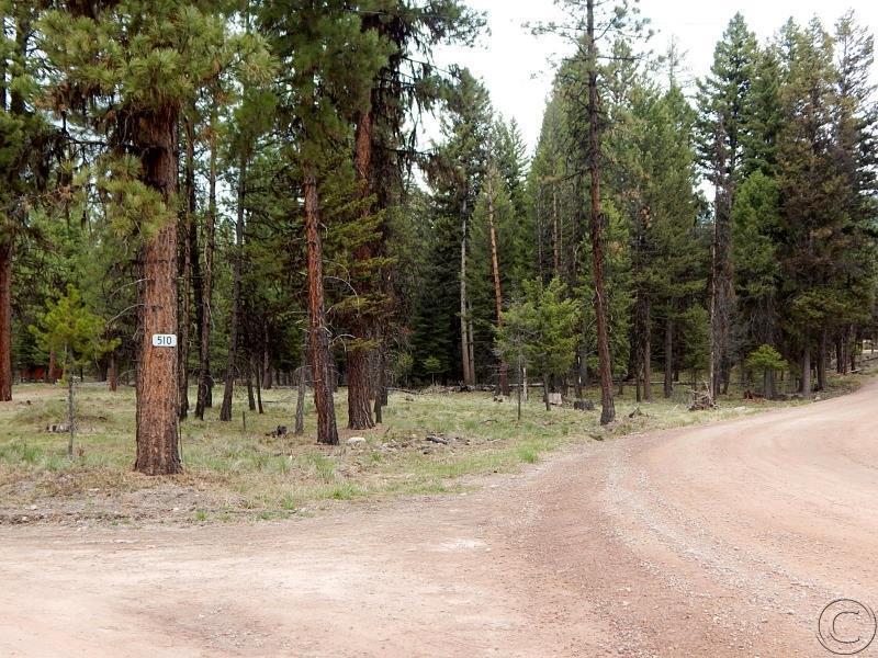 510 Glacier Drive, Seeley Lake, MT 59868