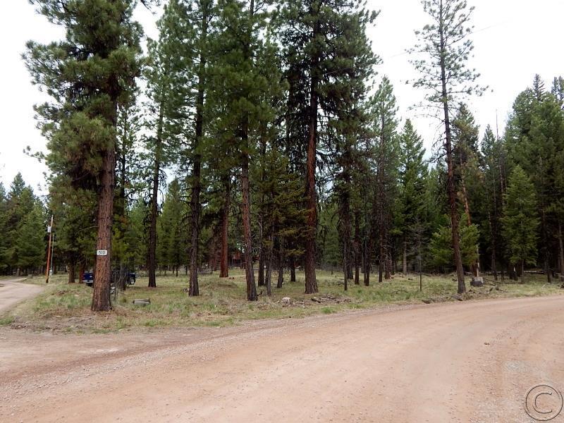 510 Glacier Drive, Seeley Lake, MT 59868