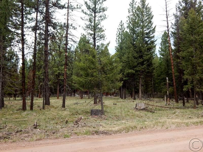 510 Glacier Drive, Seeley Lake, MT 59868