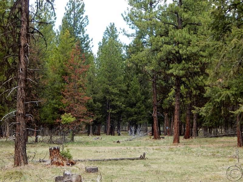 510 Glacier Drive, Seeley Lake, MT 59868