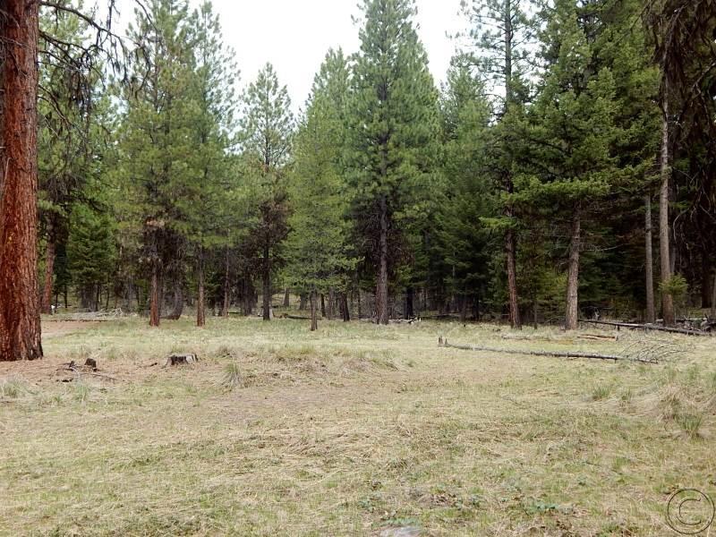 510 Glacier Drive, Seeley Lake, MT 59868