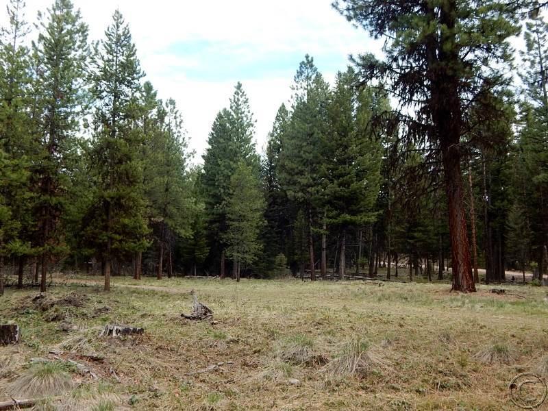 510 Glacier Drive, Seeley Lake, MT 59868