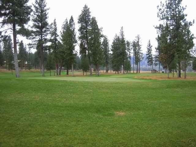 Lot 41 Golf View Drive, Seeley Lake, MT 59868