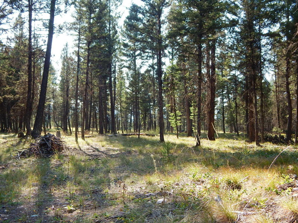203 Grandview Drive, Seeley Lake, MT 59868