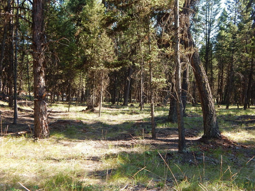 203 Grandview Drive, Seeley Lake, MT 59868