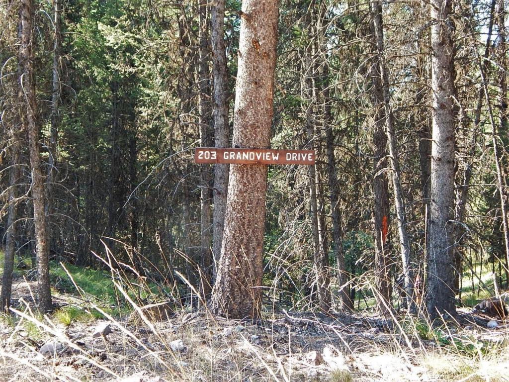 203 Grandview Drive, Seeley Lake, MT 59868