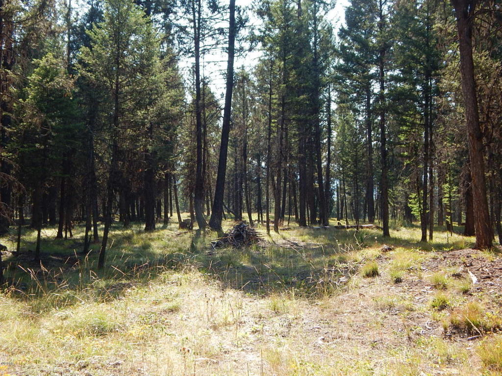 203 Grandview Drive, Seeley Lake, MT 59868