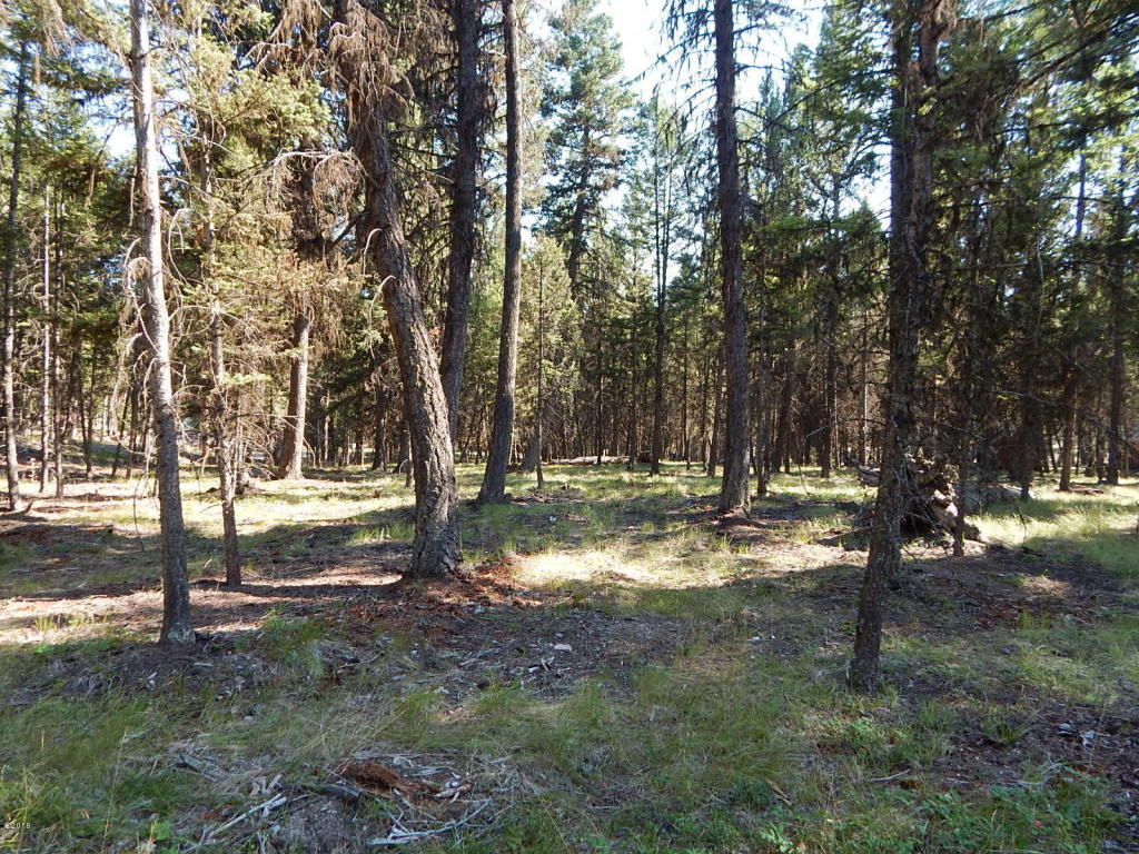 203 Grandview Drive, Seeley Lake, MT 59868