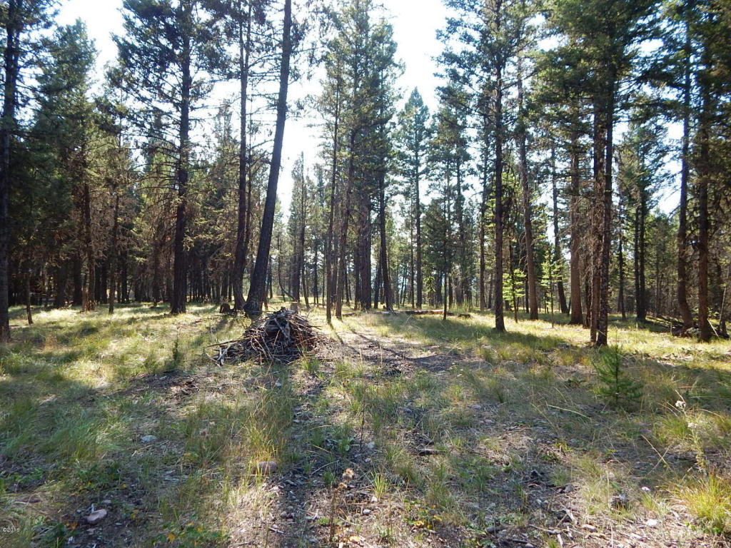 203 Grandview Drive, Seeley Lake, MT 59868