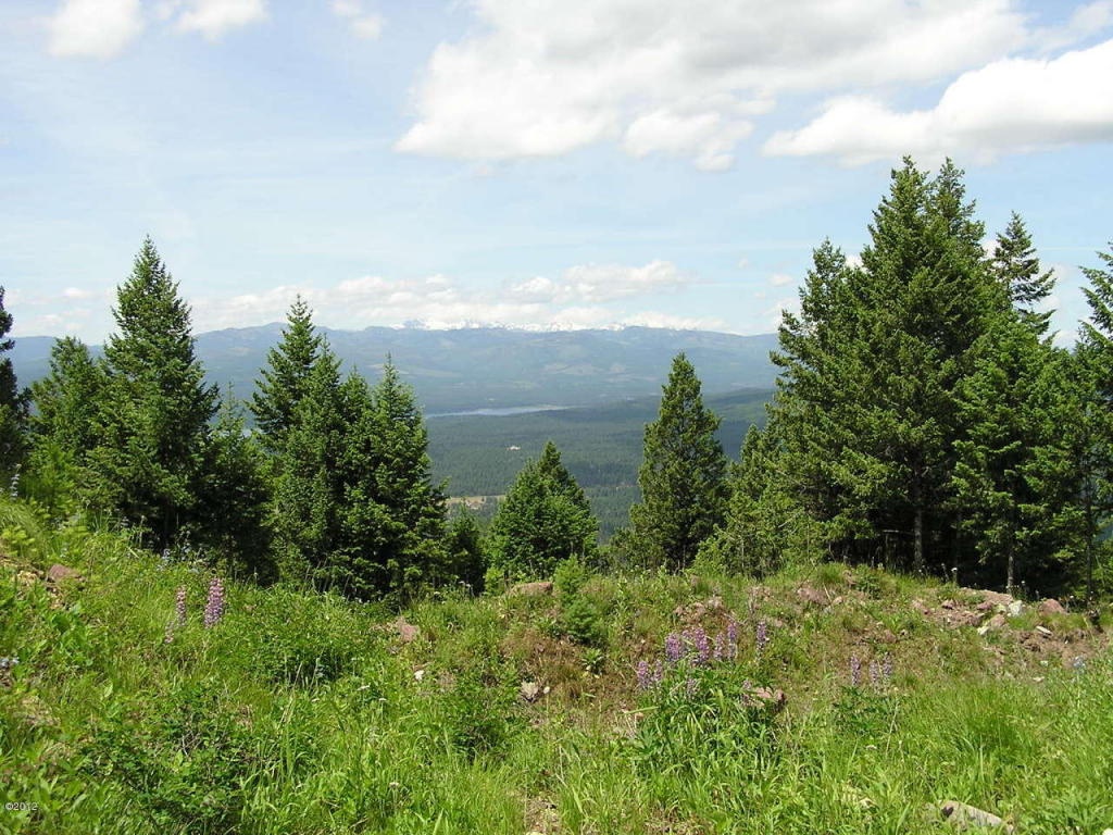 Nhn Elkhorn Road, Seeley Lake, MT 59868