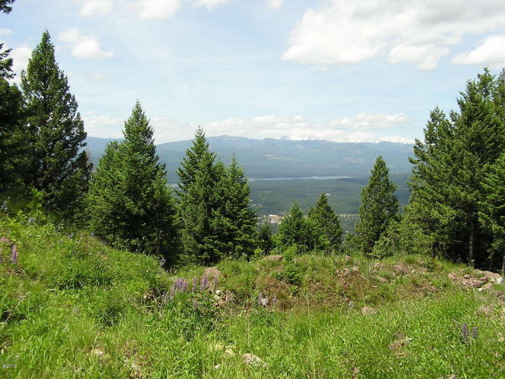 Nhn Elkhorn Road, Seeley Lake, MT 59868