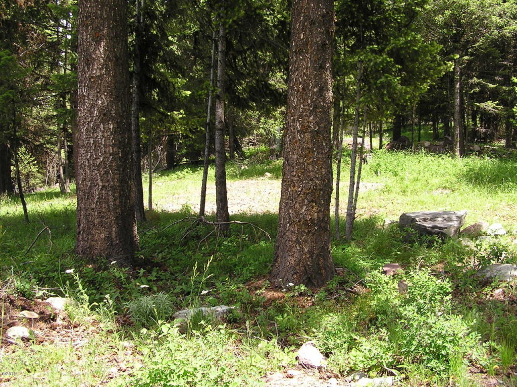 Nhn Elkhorn Road, Seeley Lake, MT 59868