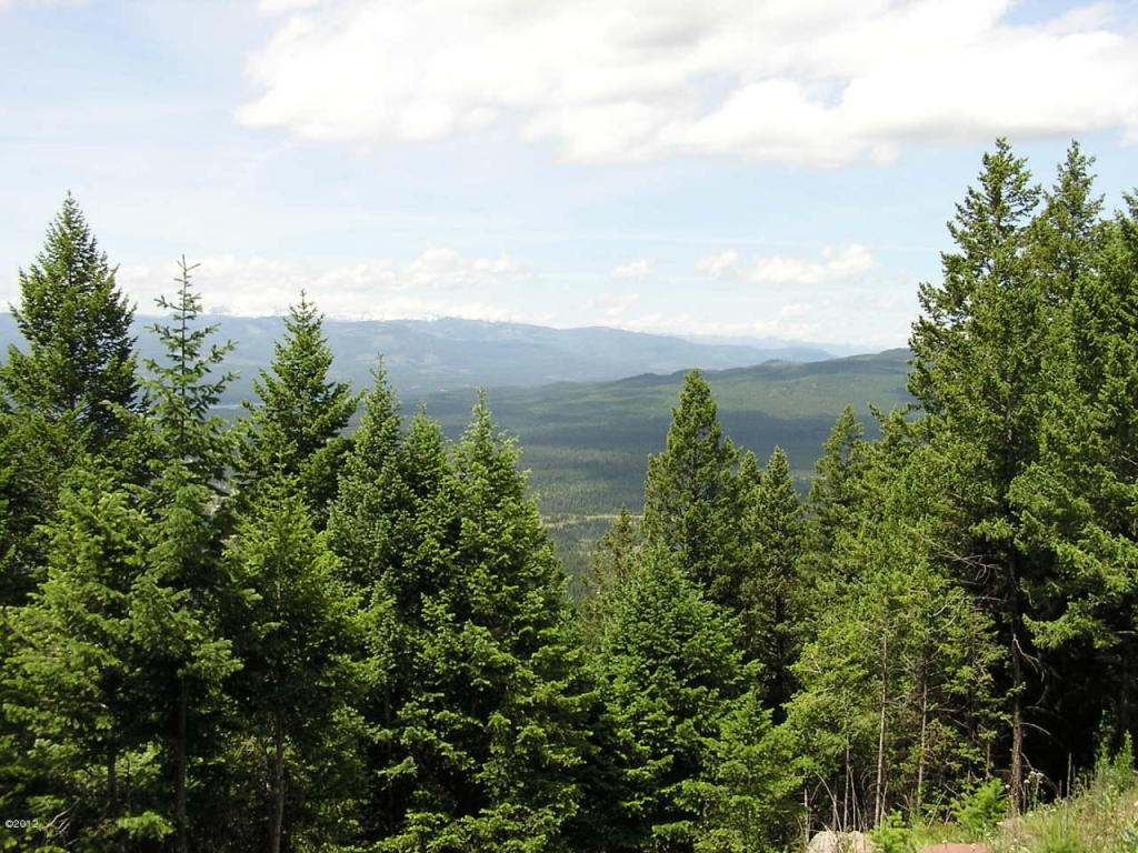 Nhn Elkhorn Road, Seeley Lake, MT 59868
