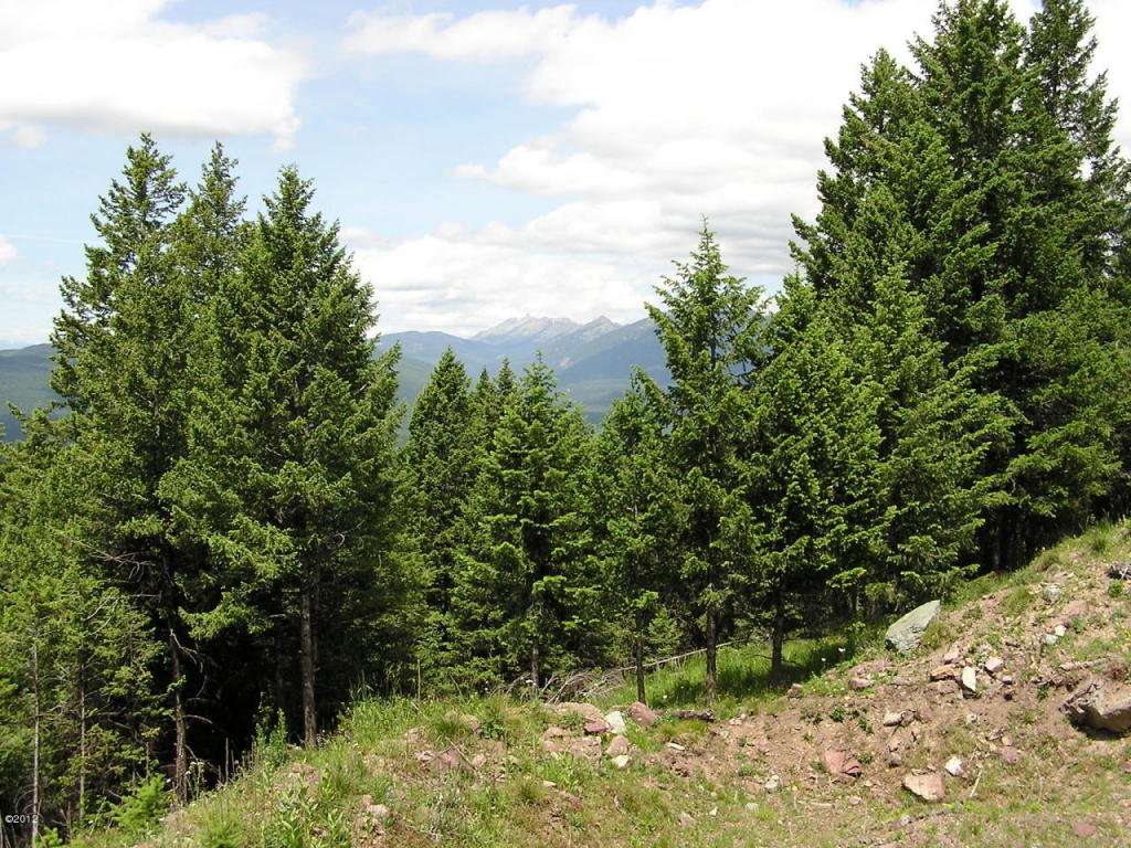 Nhn Elkhorn Road, Seeley Lake, MT 59868
