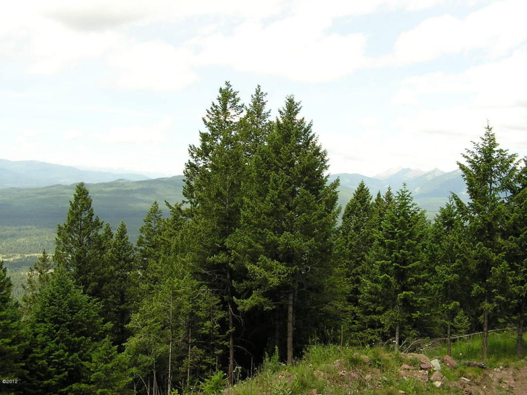 Nhn Elkhorn Road, Seeley Lake, MT 59868